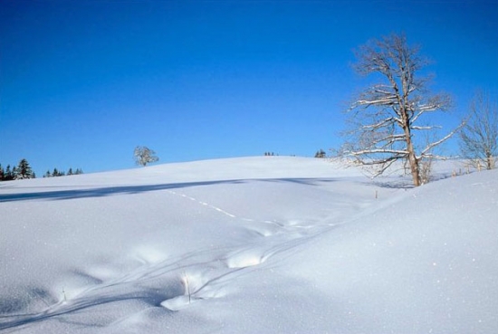 hintergebirge