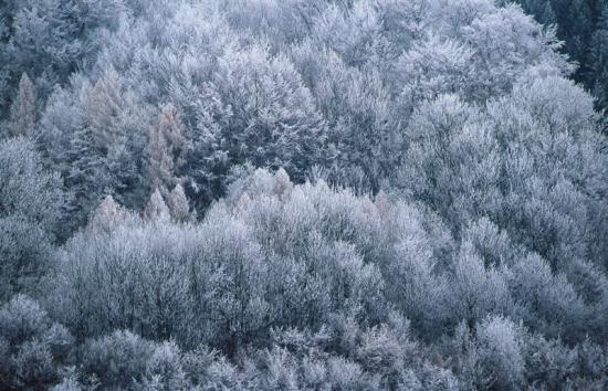 monochrome landschaft