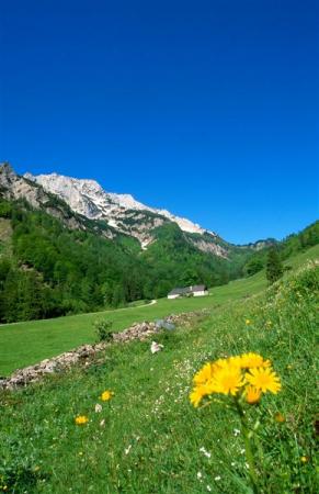blumaueralm-3