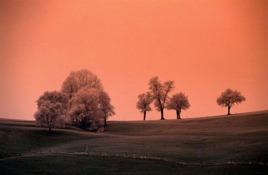 monochrome landschaft