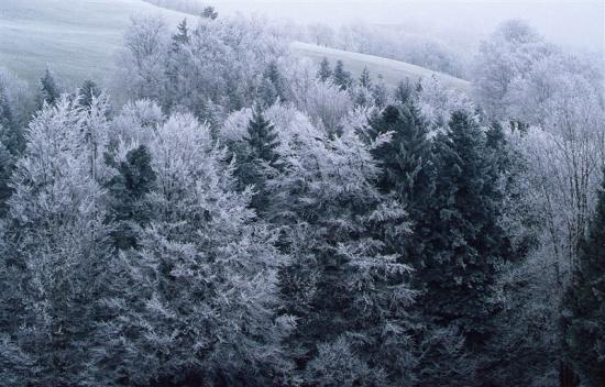 monochrome landschaft