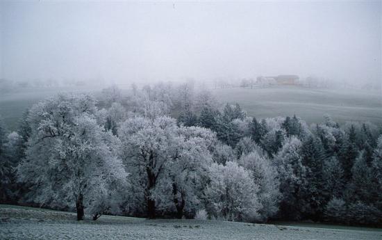 monochrome landschaft