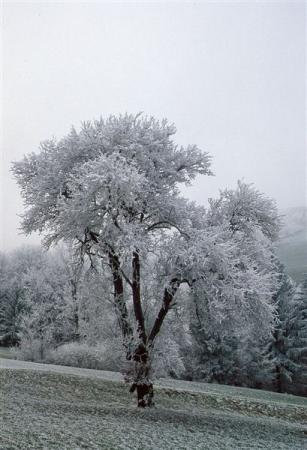 monochrome landschaft