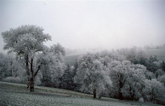 monochrome landschaft